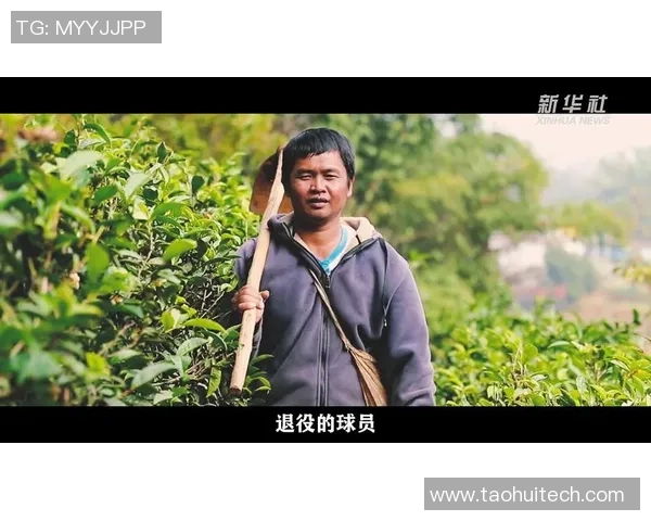 放牛的足球明星盘点他们的职业生涯与成就分析