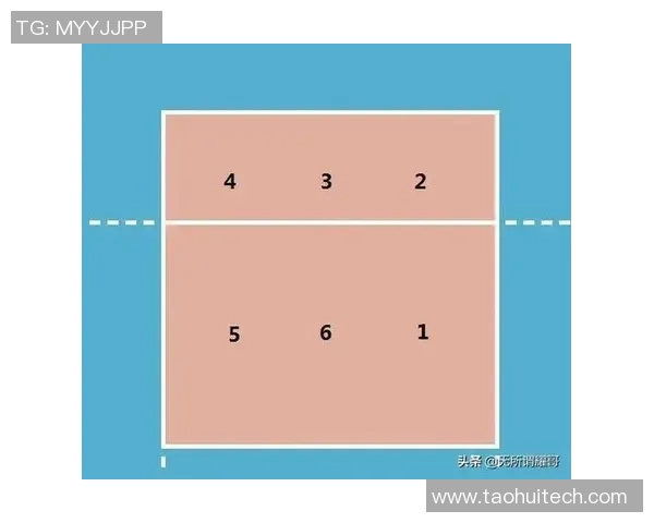 排球深度解析西安排球队反击战术与策略的全面剖析